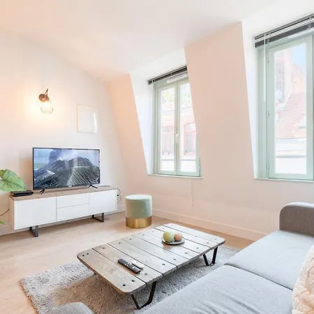 Old - Beautiful Spacious&equipped Lille